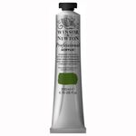 Winsor & Newton Professional Acrylic Colour 200 ML - Permanent Sap Green (503), Finely Pigmented Lightfast Artists' Acrylic Paints for Canvas, Wood, Fabric & Paper - More Colours Available