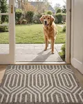 DEXI Front Door Mats for Entryway, Non Slip Washable Entry Doormat, Absorbent Resist Dirt Inside Floor Mat, Low-Profile Entrance Mat, 24"X36", Brown