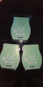 Scentsy, B