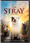 The Stray