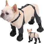 Dog Boot L