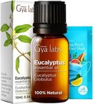 Gya Labs Eucalyptus Essential Oil f