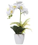 Olrla White Artificial Phalaenopsis Orchid Plant with Pot for Table Office Home Wedding Party Garden Decor (White 1)