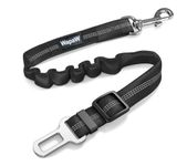 Dog Car Leash