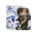 Personalized Dog Blanket, Embroider