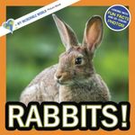 Rabbits!: 