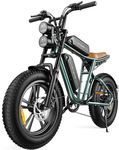 ENGWE M20 Electric Bike for Adults - 1000W 28mph Moped Ebike 48V26A Dual Battery 20 * 4.0" Fat Tire All Terrain Off Road Dirt Bike Full Suspension Max 94Miles Long Range 7-Speed UL Certified, Green