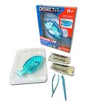 Dissect It: Piranha Lab - STEM Toy - Synthetic Dissection Kit - Realistic and Safe, Kid Friendly!, Small