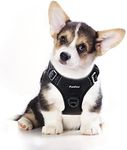 Funfox No Pull Dog Harness Small, A