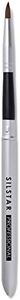 SILSTAR PROFESSIONAL LIP BRUSH MADE IN KOREA SPB017