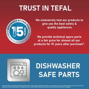 Tefal Deep Fryer 3.5L – Stainless Steel Electric Fryer