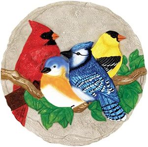 Spoontiques - Garden Décor - Bright Birds Stepping Stone - Decorative Stone for Garden