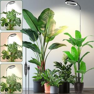 Plant Grow