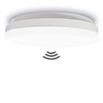 Brisplen Motion Sensor Ceiling Ligh