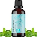 Maple Holistics Peppermint Essential Oil - Pure Peppermint Oil for Diffusers Aromatherapy Beauty and Self Care - Huile Essentielle Menthe Poivrée Pour Diffuseur Aromathérapie Savons ou Bougies 30mL