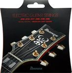 Oscar Schmidt Electric Guitar Strings