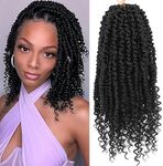 Passion Twist Crochet Hair,12 Inch 