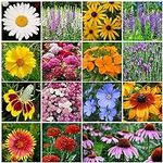 All Perennial Wildflower Seed Mix -