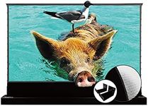 VIVIDSTORM-Projector Screen S PRO 1