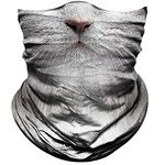 Obacle Cat Half Face Mask Sun Dust Wind Protection Durable Breathable Seamless Face Mask for Men Women, Lightweight Thin Neck Gaiter for Outdoor Sports Gifts (Cat Cute Gray Hair)