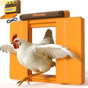 Chickcozy 