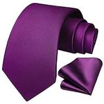 HISDERN Purple Ties for Men Formal 