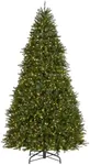 National Tree Company 10 ft Pre-Lit