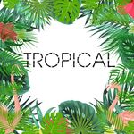 Tropical Wallpapers