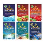 PUFF SMART Herbal Hookah Molasses (100% Nicotine and Tobacco Free) Double Apple, Brain-o- Freeze, Zafran Pan, Dubai Special, Ex on The Beach and Spring Water Hookah Flavor (Pack of 6)