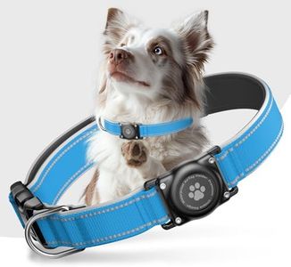 Airtag Dog