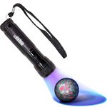 HQRP 12 LED 365 nm Flashlight Blacklight for Minerals Inspection Identification, Gemstone Detection