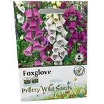 Perennial Flower Digitalis PURPUREA Foxglove Mixed Colours Seeds by Pretty Wild Seeds