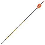 Victory Archery VAP Elite Arrows with Blazer Vanes (Pack of 6), Black, 300