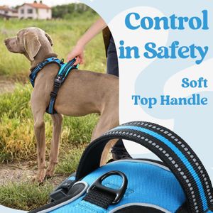 rabbitgoo Small Dog Harness, Sky Blue, Size M – No Pull Adjustable