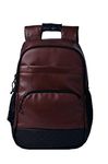 F Gear Luxur Anti Theft 25 Ltrs Laptop Backpack, Brown, 16.14, Backpacks