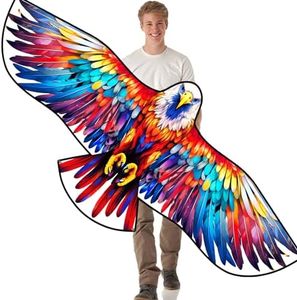 HENGDA KITE Eagle Kite,for Kids and Adults,Easy to Fly,Excellent Fabric and Structure Design,The Pictures are Beautiful in high Definition,Suitable for Beginners(63x27)