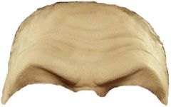 Demon Brow Foam Latex Prosthetic