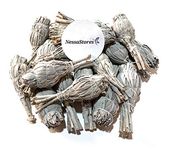 NessaStores 24 California White Sage Smudge Sticks, 3 to 4 Inch Hand Tied, All Natural for Home Cleansing, Stress Relief, & Clearing Negative Energy JC-005