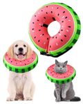 Dog Cone Collar, FWLWTWSS Inflatable Dog Collar Buster Collars for Dogs and Cats, Soft Comfy Protective Recovery Collar Adjustable Dog Donut Collar for After Surgery, Does not Block Vision(Small)