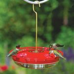 Hummingbird Feeder With Goals