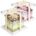 BELLE VOUS 2 Pack of Clear Plastic Cake Boxes with Boards & Ribbon - 21 x 21 x 20cm/8.26 x 8.26 x 7.87 Inches - Transparent Tall Cake Gift Packaging Carrier Boxes for Birthdays, Weddings & Parties