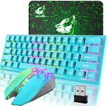 Wireless Gaming Keyboard and Mouse 