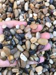 Voulosimi 6 Pebbles River Rock Stones, Natural Decorative Polished Black White Bean Pebbles Gravel,Outdoor Decorative Stones for Plant Aquariums, Landscaping, Fillers