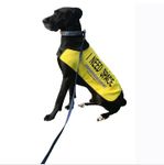 Yellow Dog UK Dog Vest - I NEED SPACE (Extra Large)