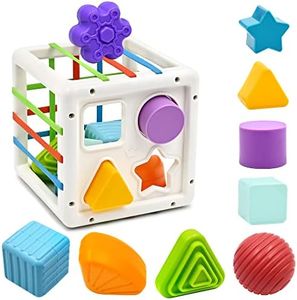 AiTuiTui Baby Montessori Toys for 6-12 Months, Shape Sorter Sensory Bin 1 Year Old Boy Girl Gifts, Toddler Travel Fine Motor Skill Activity Learning Toys for Baby 1st Birthday