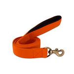 PetWale Dog Leash with Padded Handle | Suited for Walking, Running, Training & More | Orange Fabric | Easy to Clean & Maintain | Durable & Sturdy | L: 5 feet, W: 1.5 inches