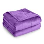 Topblan Flannel Weighted Blanket, 12lbs, Purple, Twin Size, Adult Heavy Blanket for Sleeping and Calming, Soft Warm Fabric, 48 x 72 inches