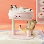 Lesure Cute Cat Tree Tower - Cat Tower with Nature Sisal Scratching Post for Indoor Large Cats and Kittens, Featuring with Soft Removable Cat Bed,Wide Perch, Playful Toy, 22x16.5x22.8in，Pink