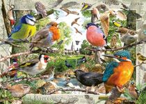 Ravensburger Our Feathered Friends 1000 Piece Jigsaw Puzzles for Adults and Kids Age 12 Years Up - Animals & Birds