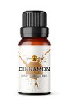 Cinnamon Fragrance Oil, 10ml - Use in Aromatherapy Diffuser, Home Made Making, Potpourri, Candle, Soap, Slime, Bath Bomb, Air Freshener